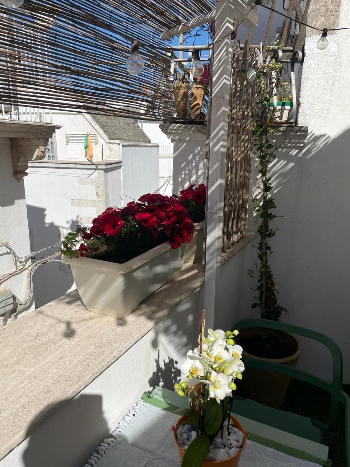 Casa Del Riccio Nel Centro Storico Apartment Martina Franca Exterior photo